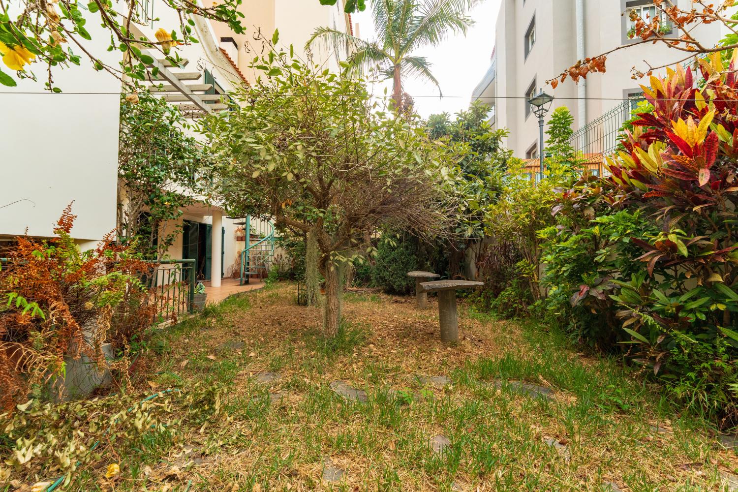  for sale villa Ribeira Brava Ribeira Brava 29