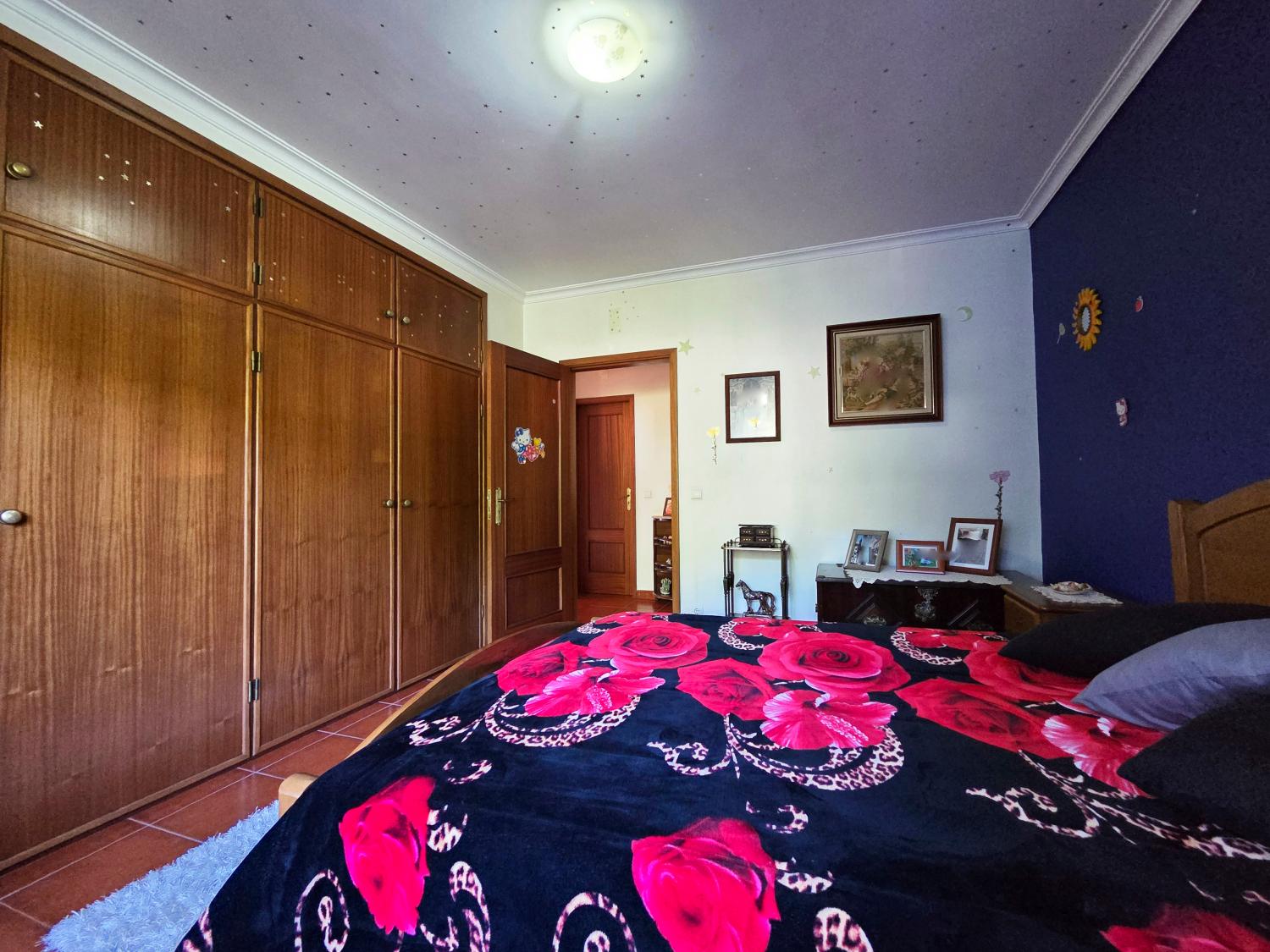  for sale farm Celorico da Beira Celorico Da Beira 14