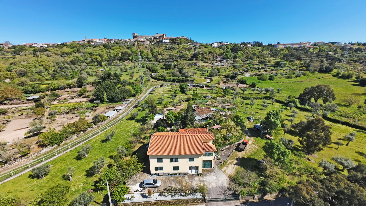  for sale farm Celorico da Beira Celorico Da Beira 4