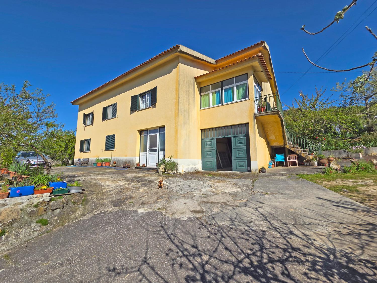  for sale farm Celorico da Beira Celorico Da Beira 1