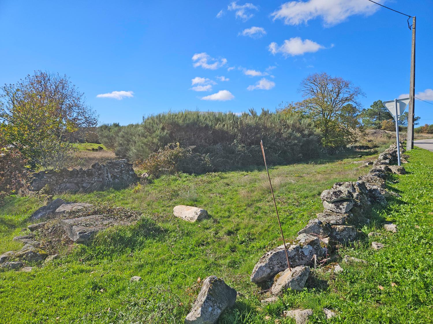  for sale detached house Donfins Guarda 9
