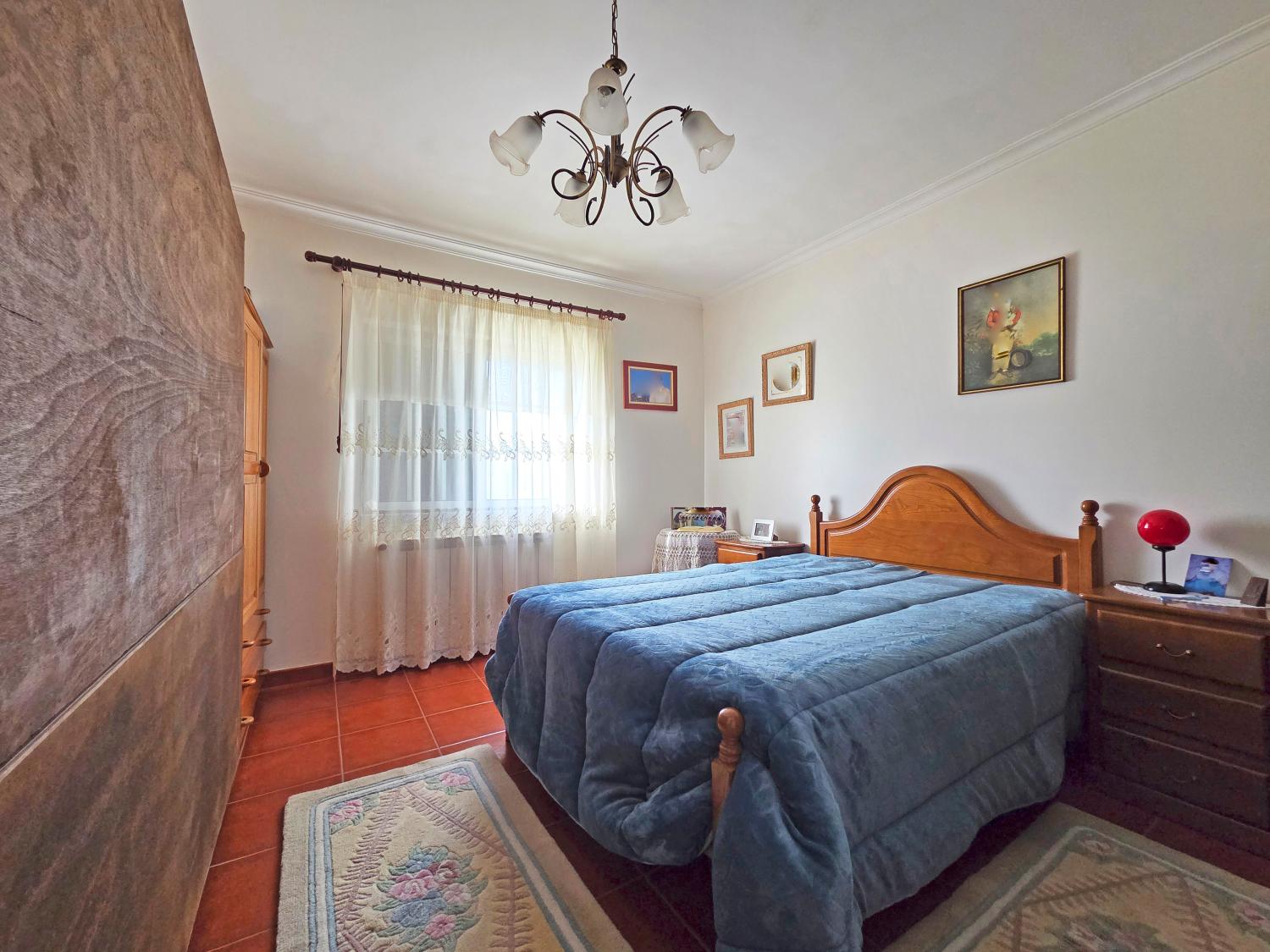  for sale farm Celorico da Beira Celorico Da Beira 12