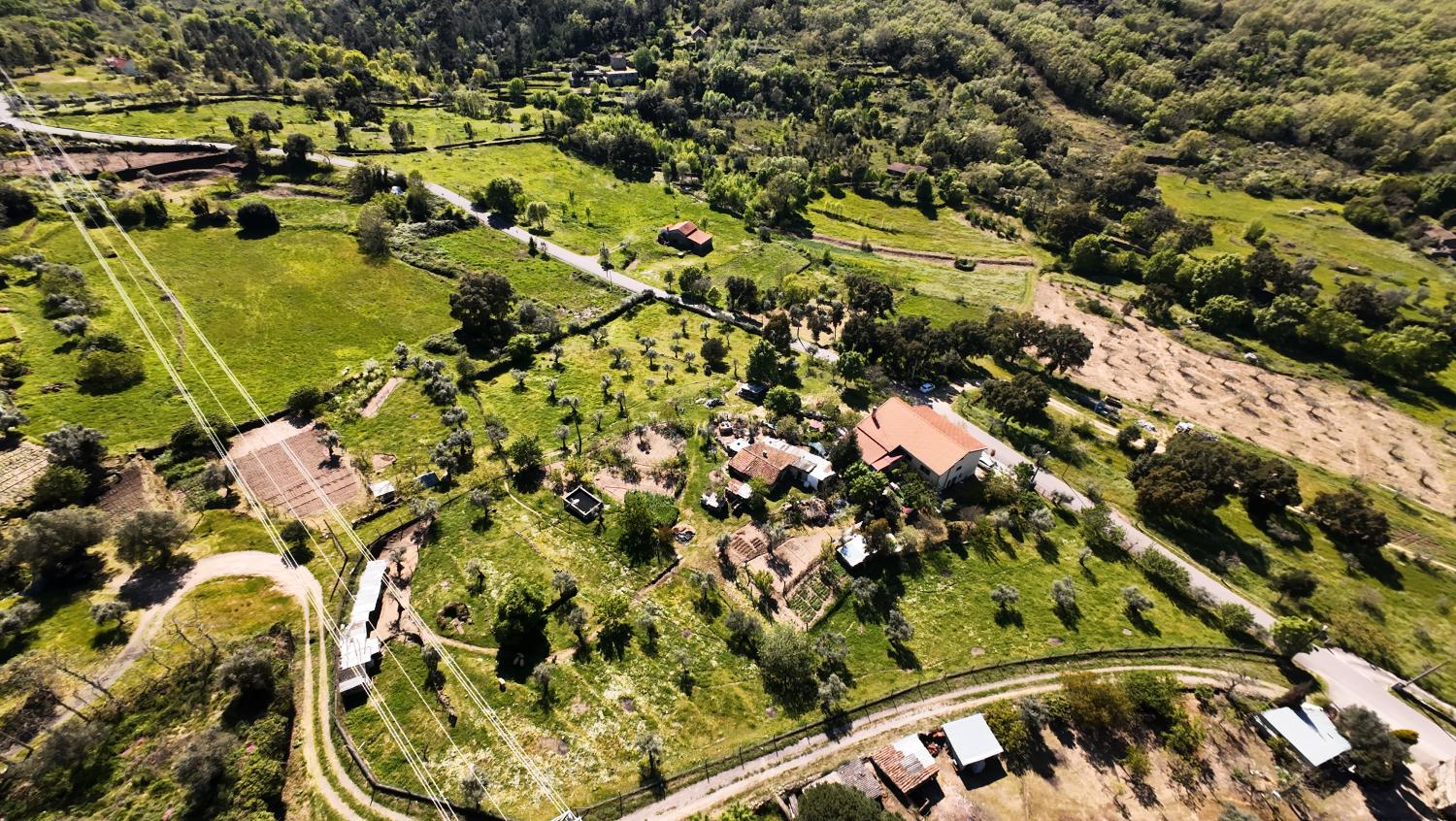 for sale farm Celorico da Beira Celorico Da Beira 2