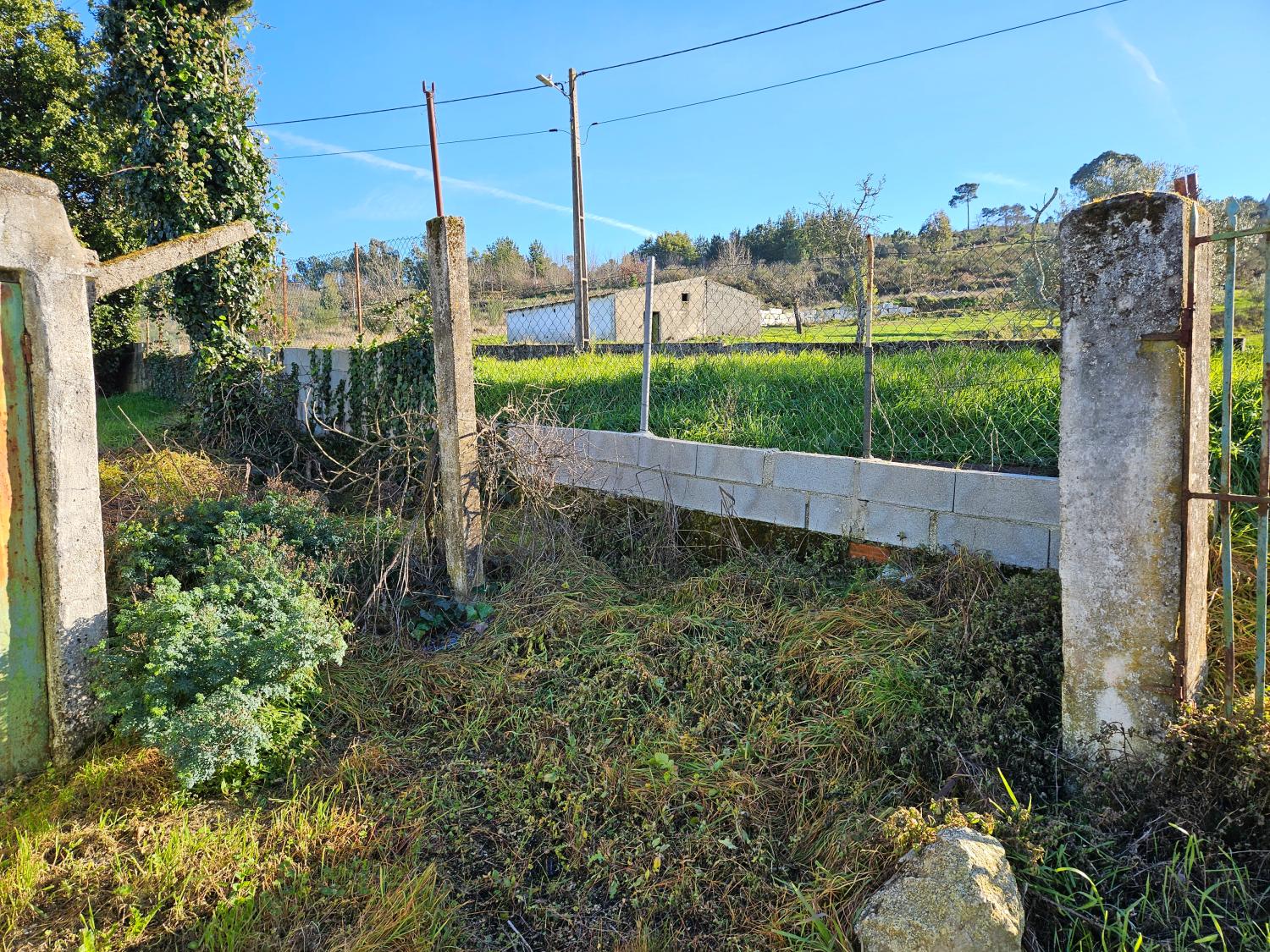  for sale farm Aldeia da Serra Celorico Da Beira 17