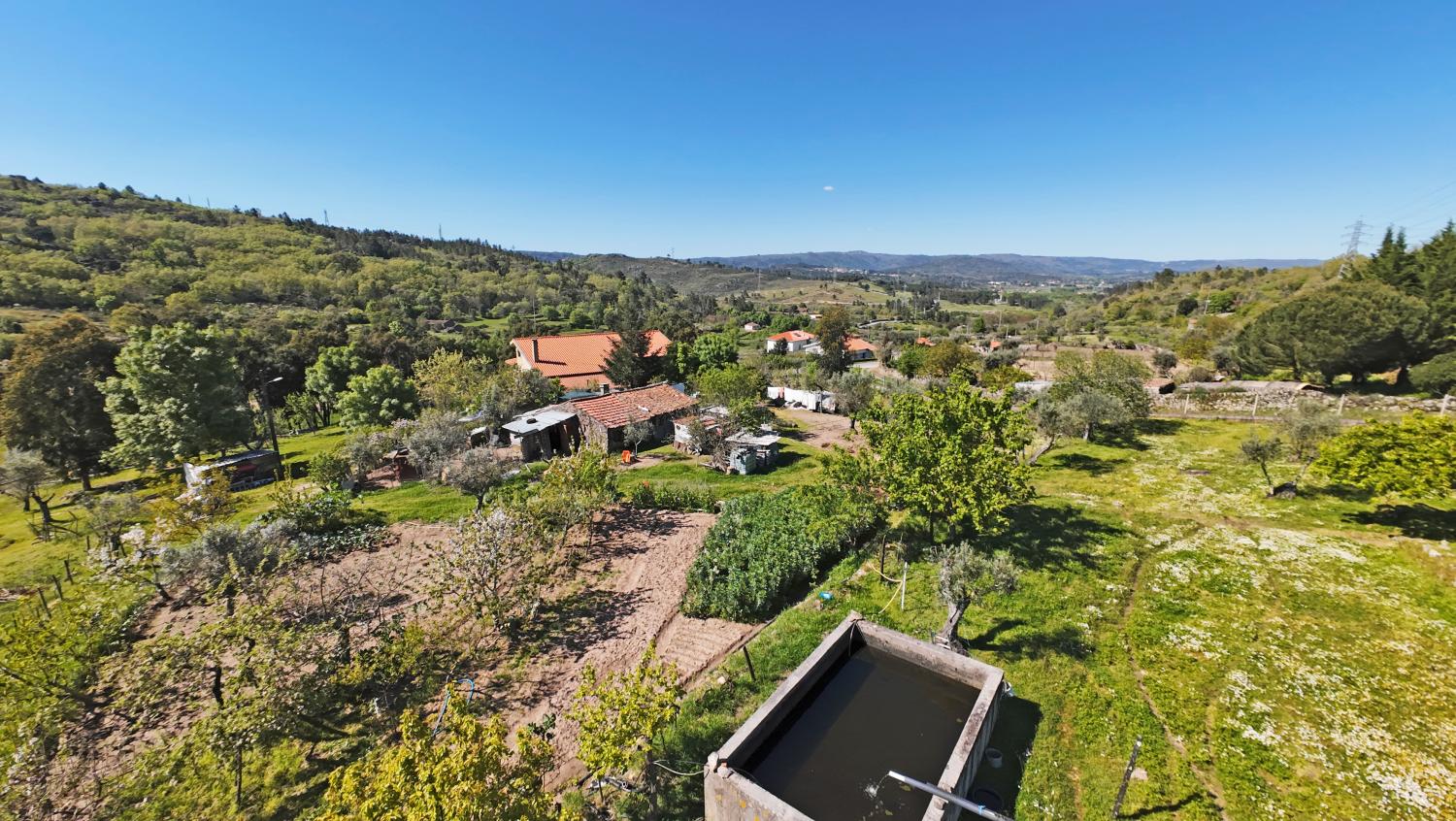  for sale farm Celorico da Beira Celorico Da Beira 5