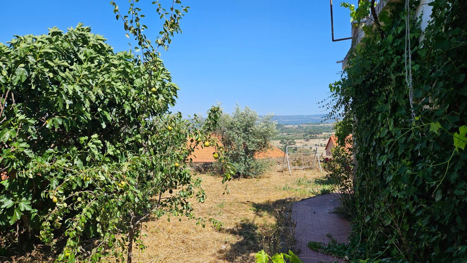  for sale mansion Celorico da Beira Celorico Da Beira 9