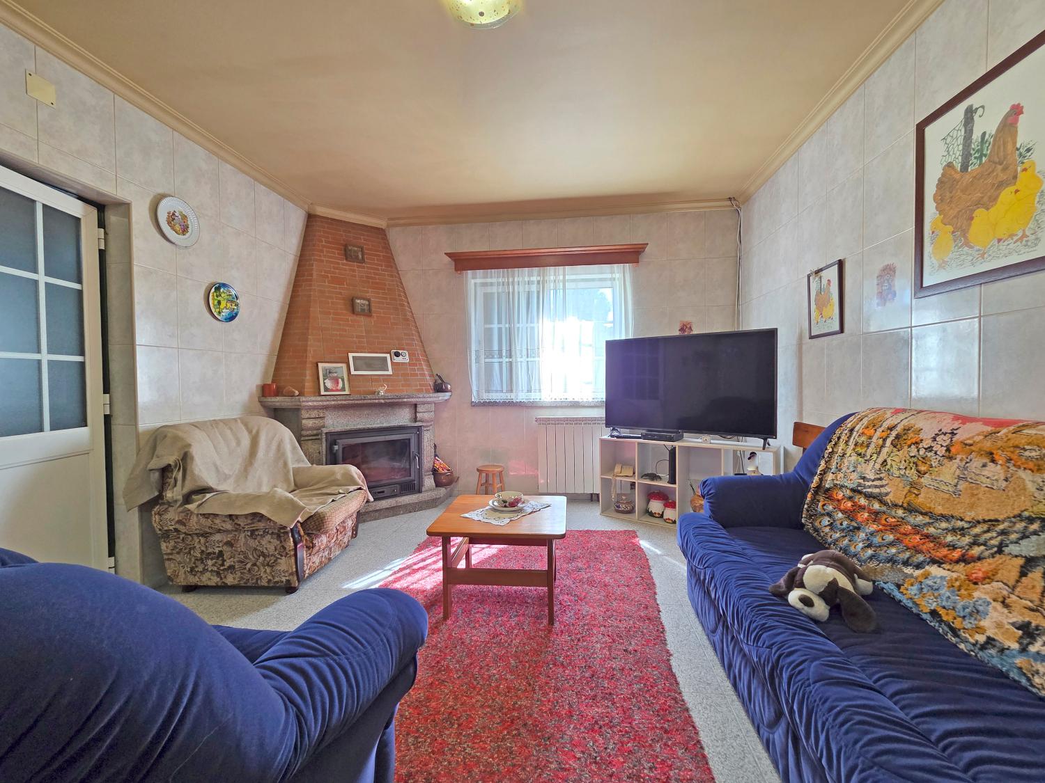  for sale farm Celorico da Beira Celorico Da Beira 22
