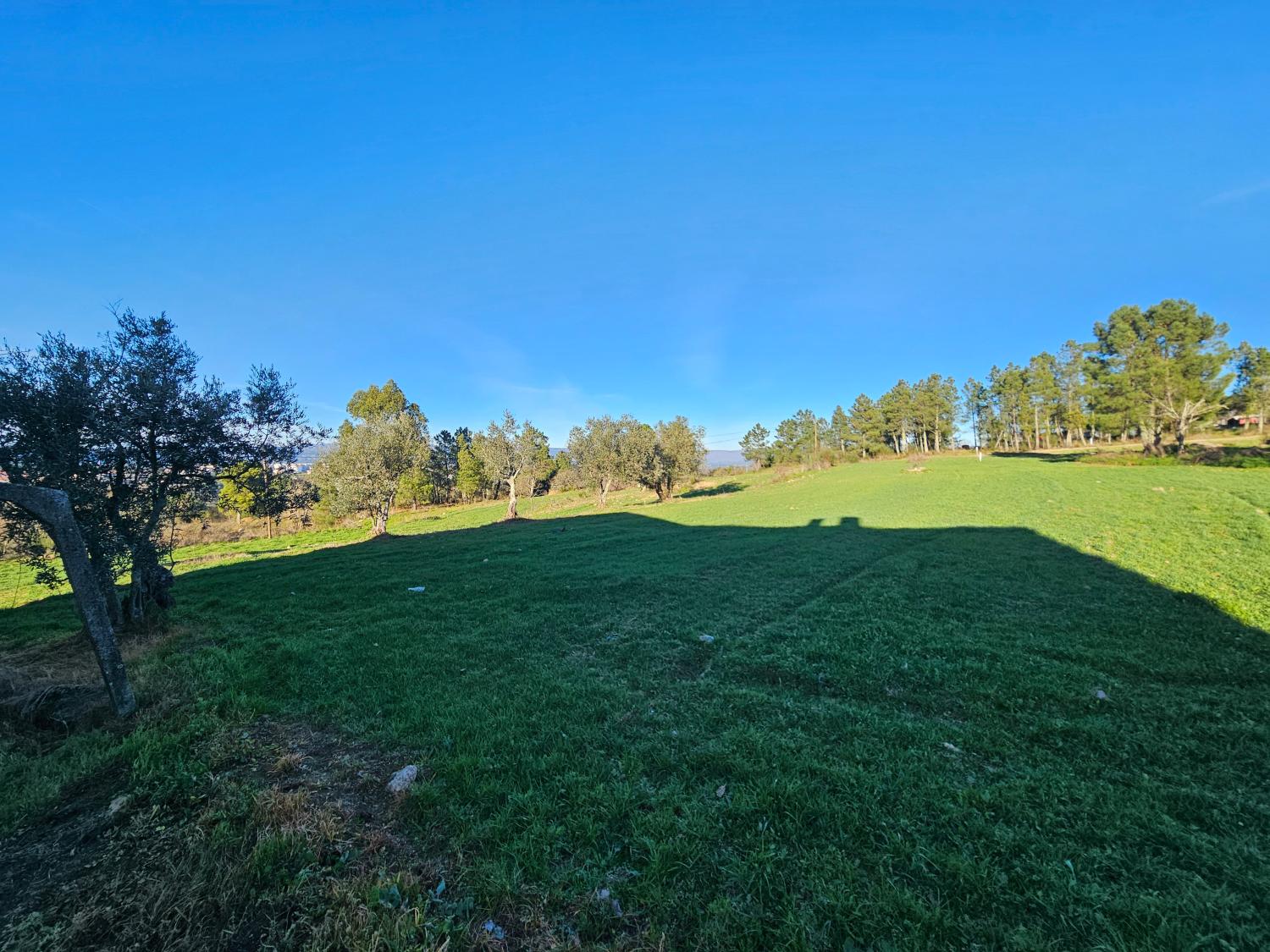  for sale farm Aldeia da Serra Celorico Da Beira 5