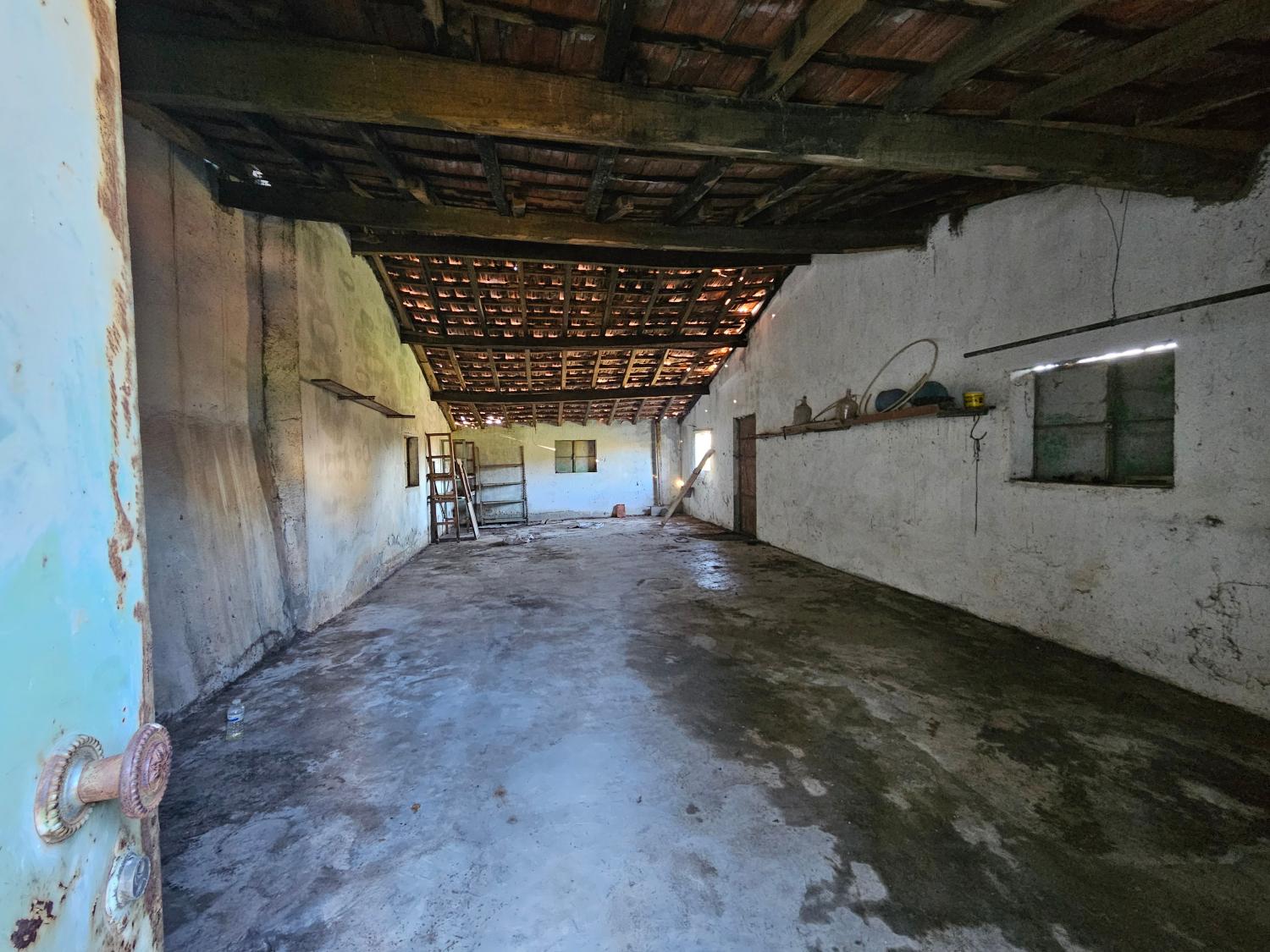  for sale farm Aldeia da Serra Celorico Da Beira 13