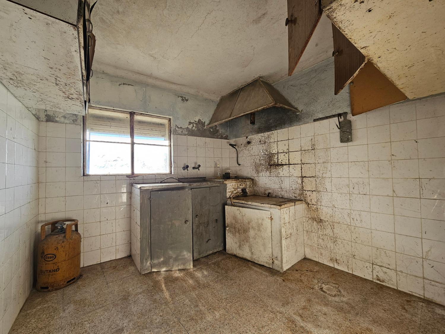  for sale farm Aldeia da Serra Celorico Da Beira 10