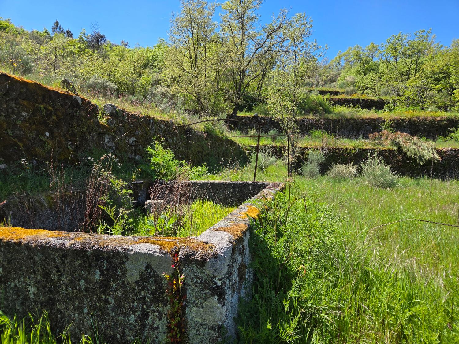  for sale farm Lajeosa do Mondego Celorico Da Beira 11