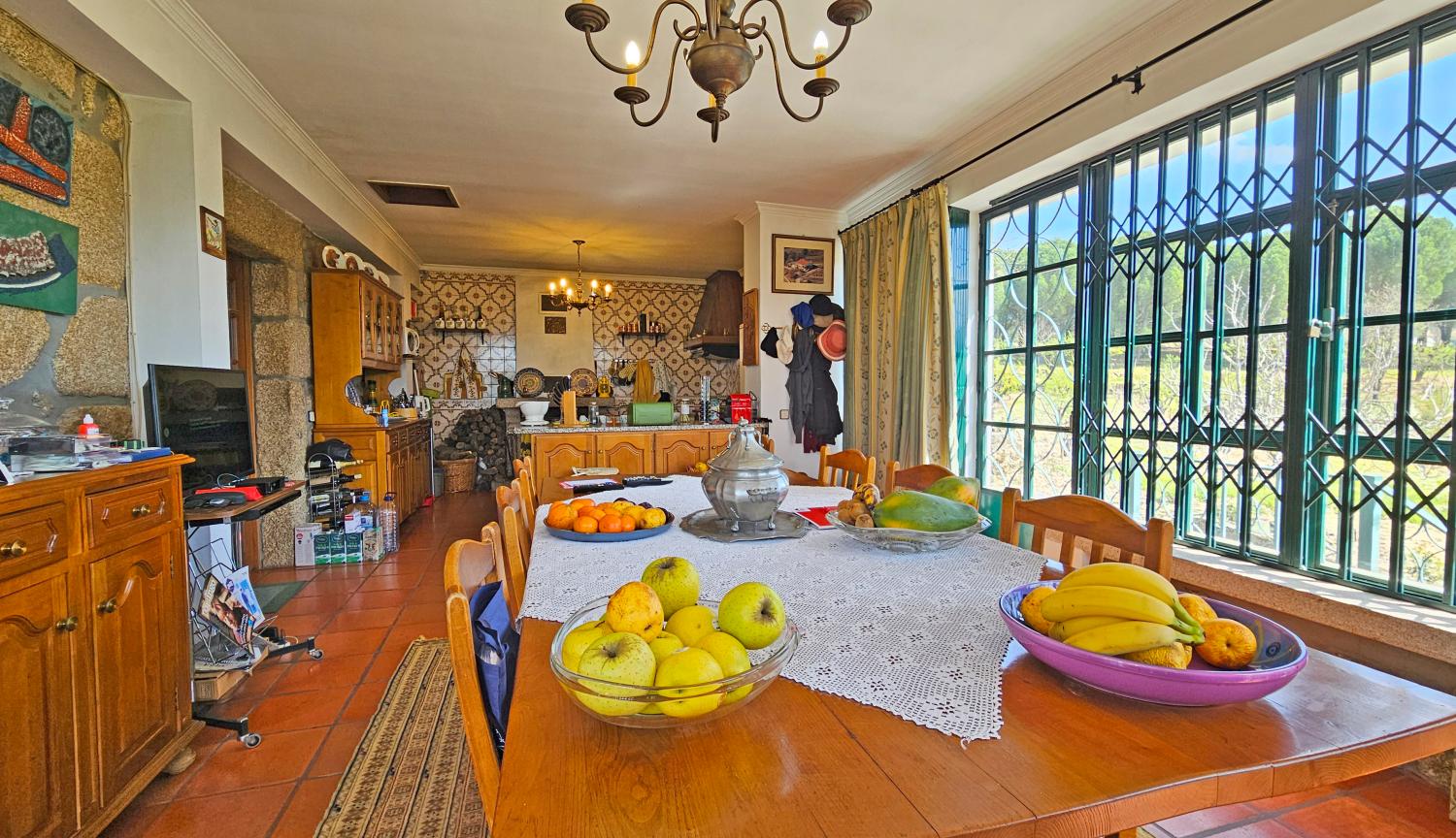  for sale farm Vela Guarda 14