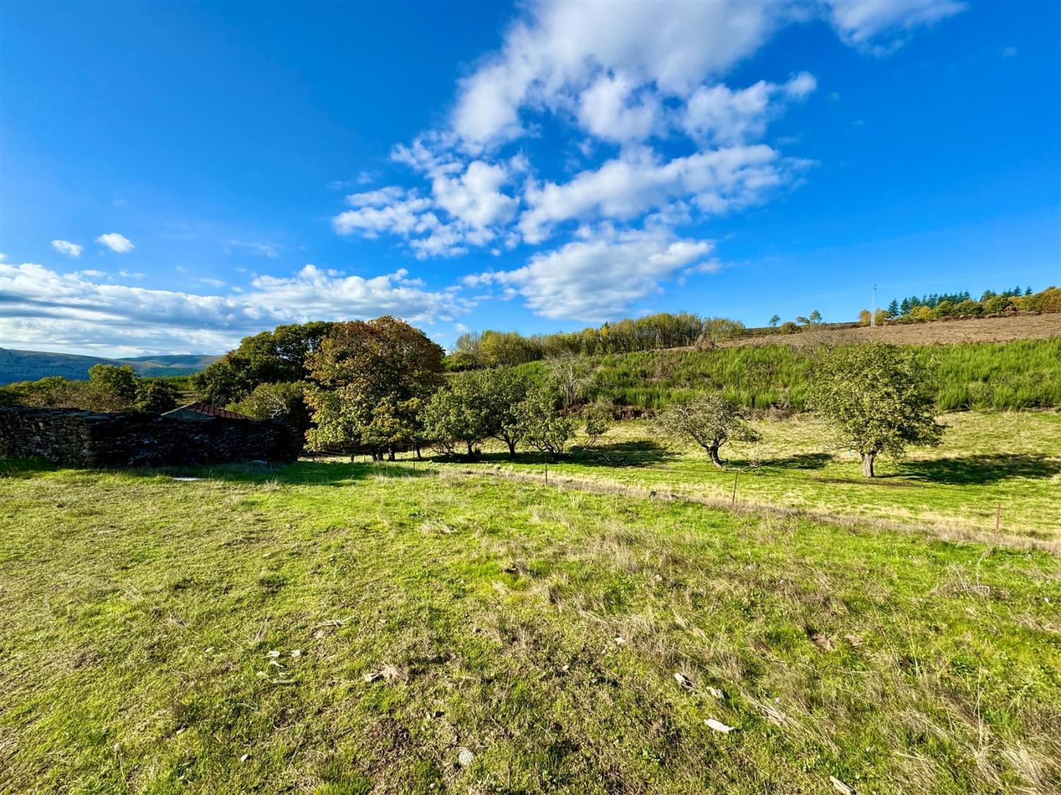  for sale farm Videmonte Guarda 4
