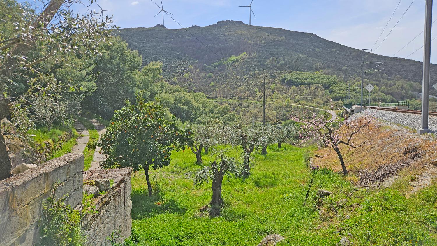  for sale house Benespera Guarda 7