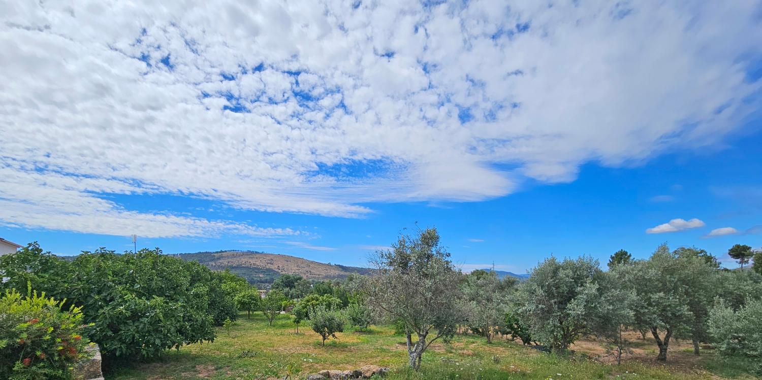  for sale house Gonçalo Guarda 12