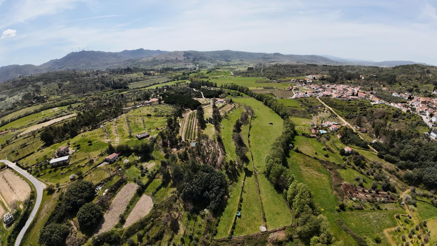  for sale farm Vela Guarda 31