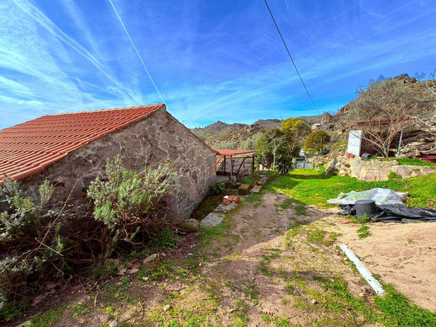 for sale farm Pousafoles do Bispo Sabugal 12