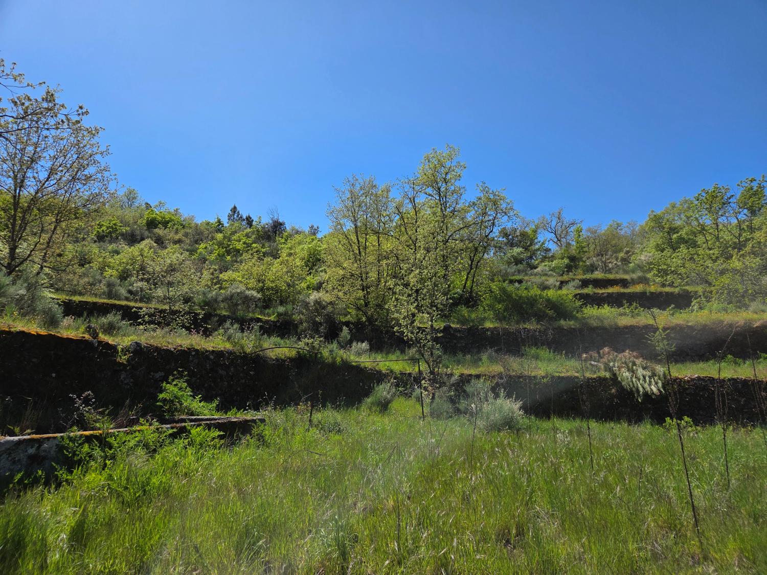  for sale farm Lajeosa do Mondego Celorico Da Beira 4