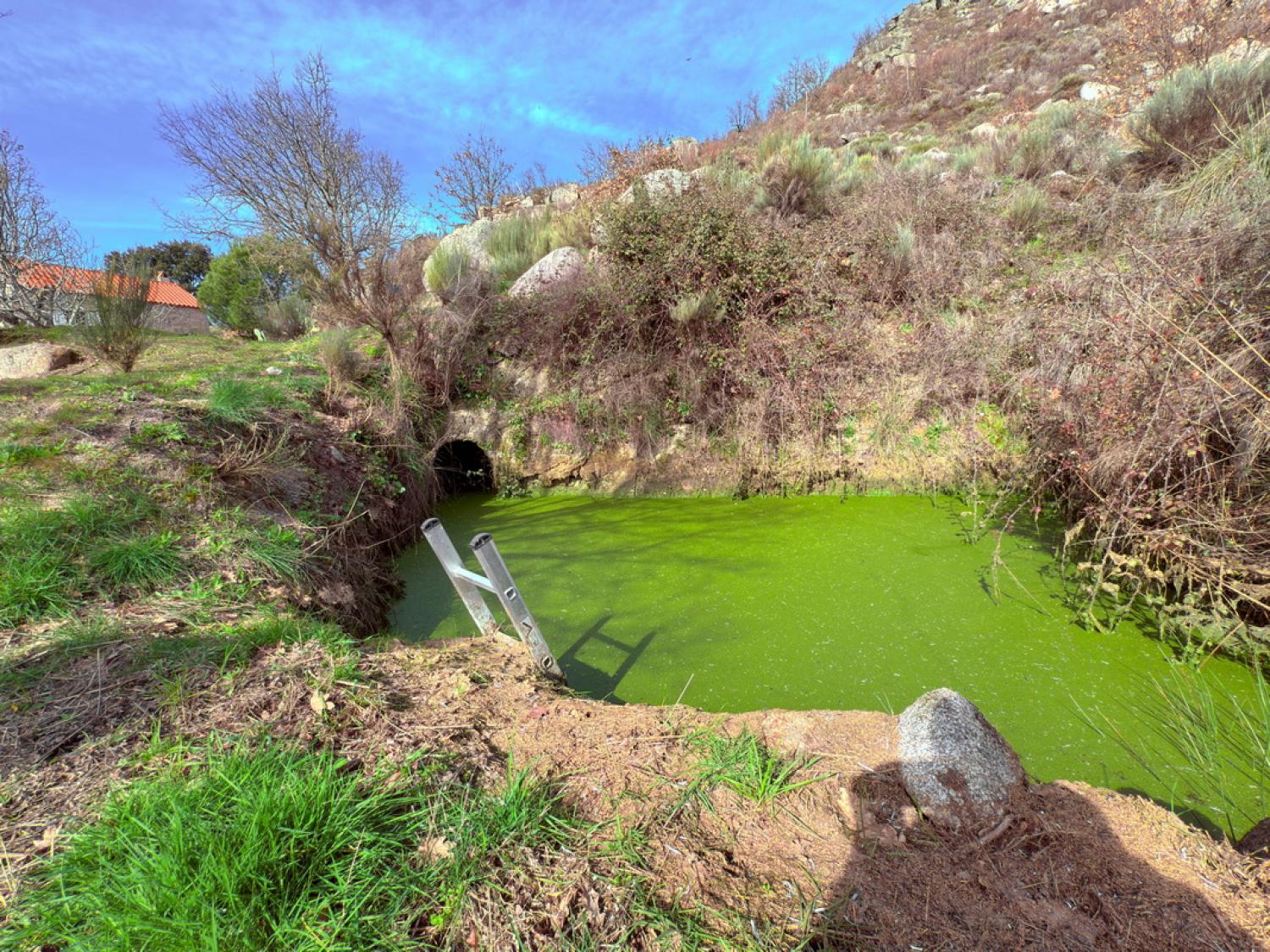 for sale farm Pousafoles do Bispo Sabugal 36