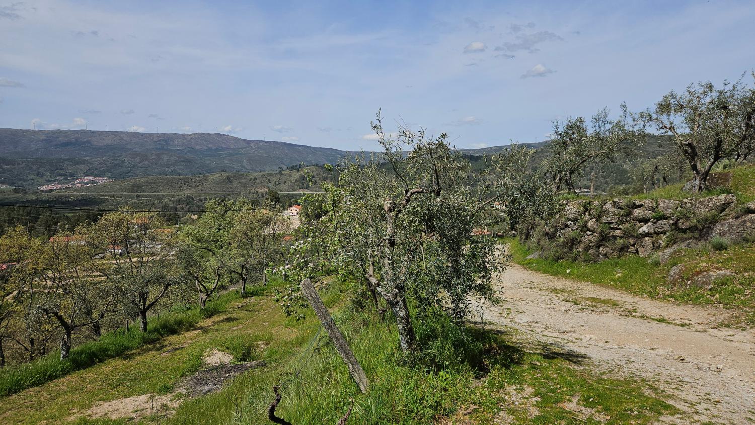  for sale house Benespera Guarda 6