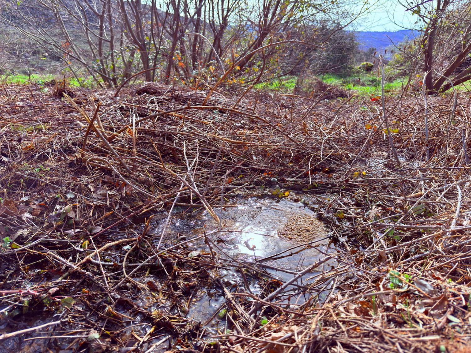  for sale farm Pousafoles do Bispo Sabugal 39