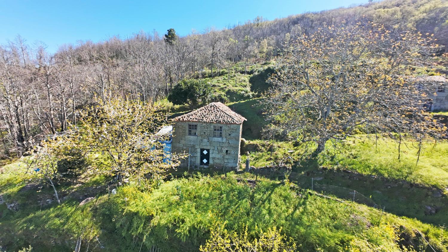  for sale farm Famalicão Guarda 1