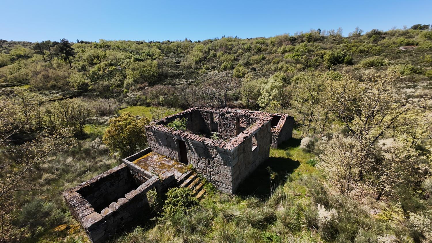  for sale farm Lajeosa do Mondego Celorico Da Beira 1
