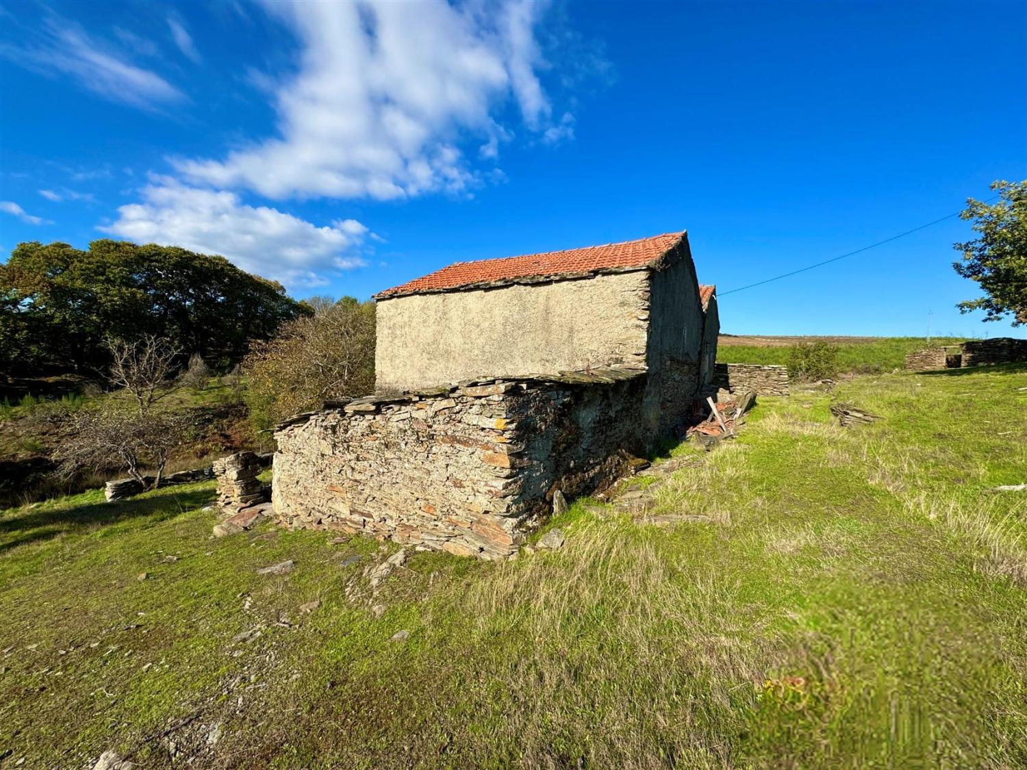  for sale farm Videmonte Guarda 9