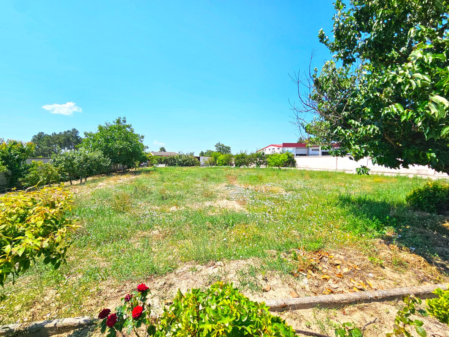  for sale detached house Souro Pires Pinhel 14