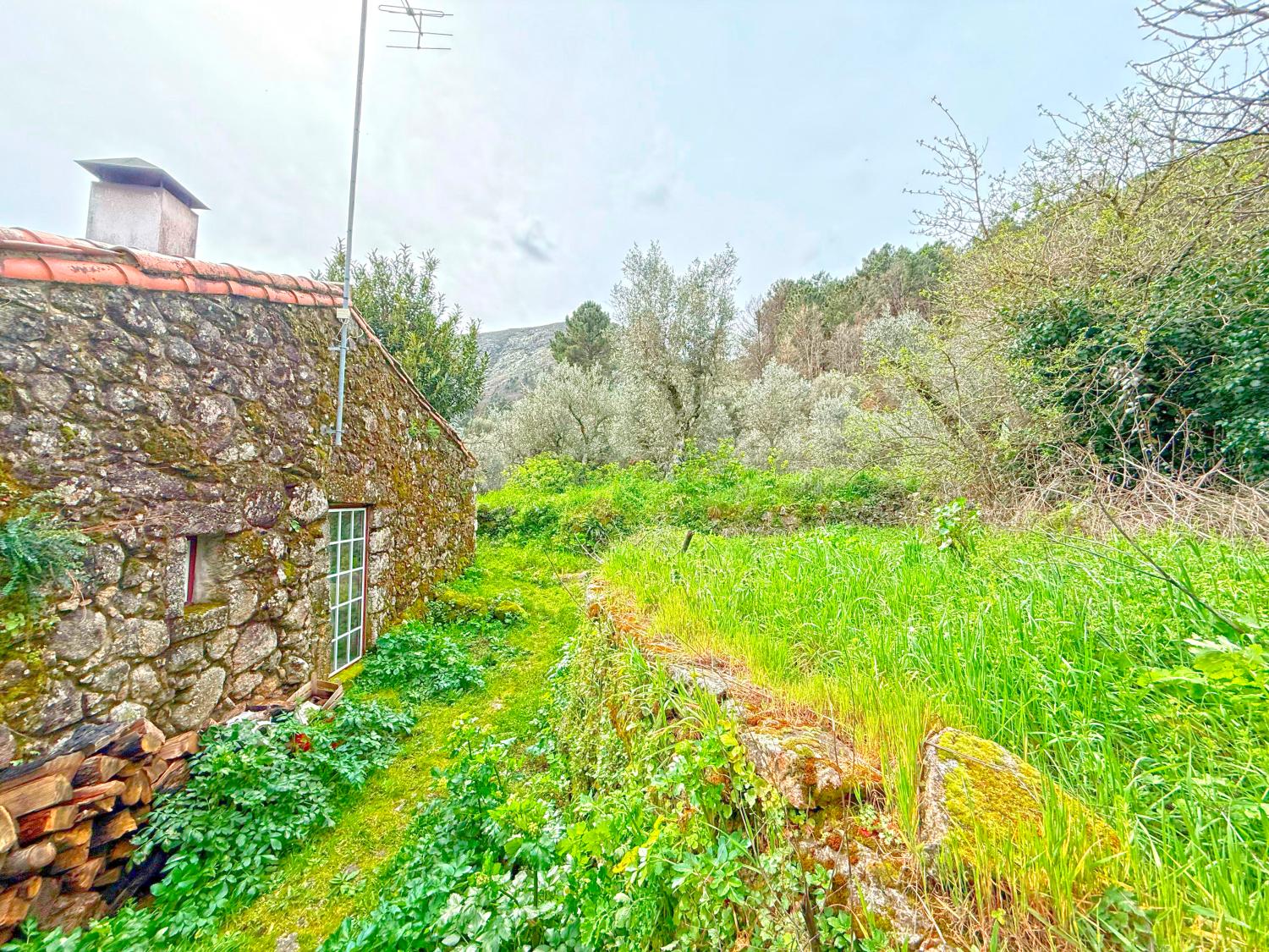  for sale house Vila Soeiro Guarda 5