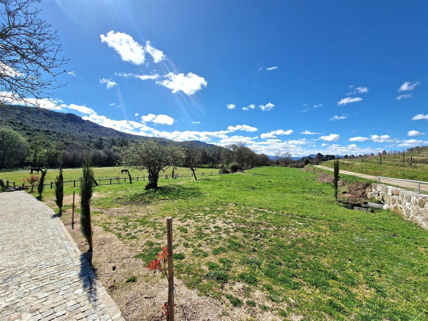  for sale estate Celorico da Beira Celorico Da Beira 19