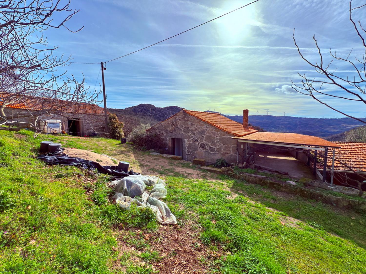  for sale farm Pousafoles do Bispo Sabugal 11
