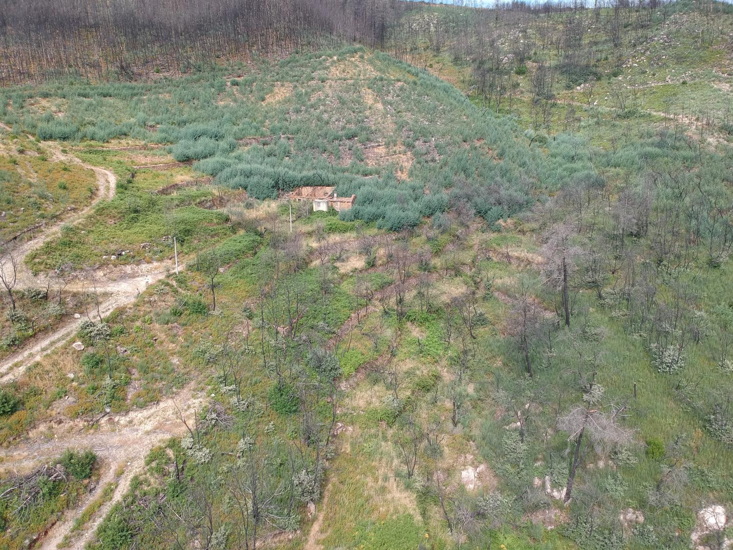  for sale terrain Valhelhas Guarda 3