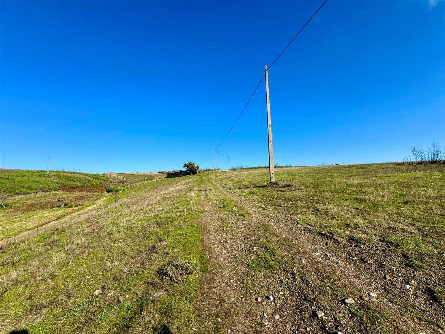  for sale farm Videmonte Guarda 5
