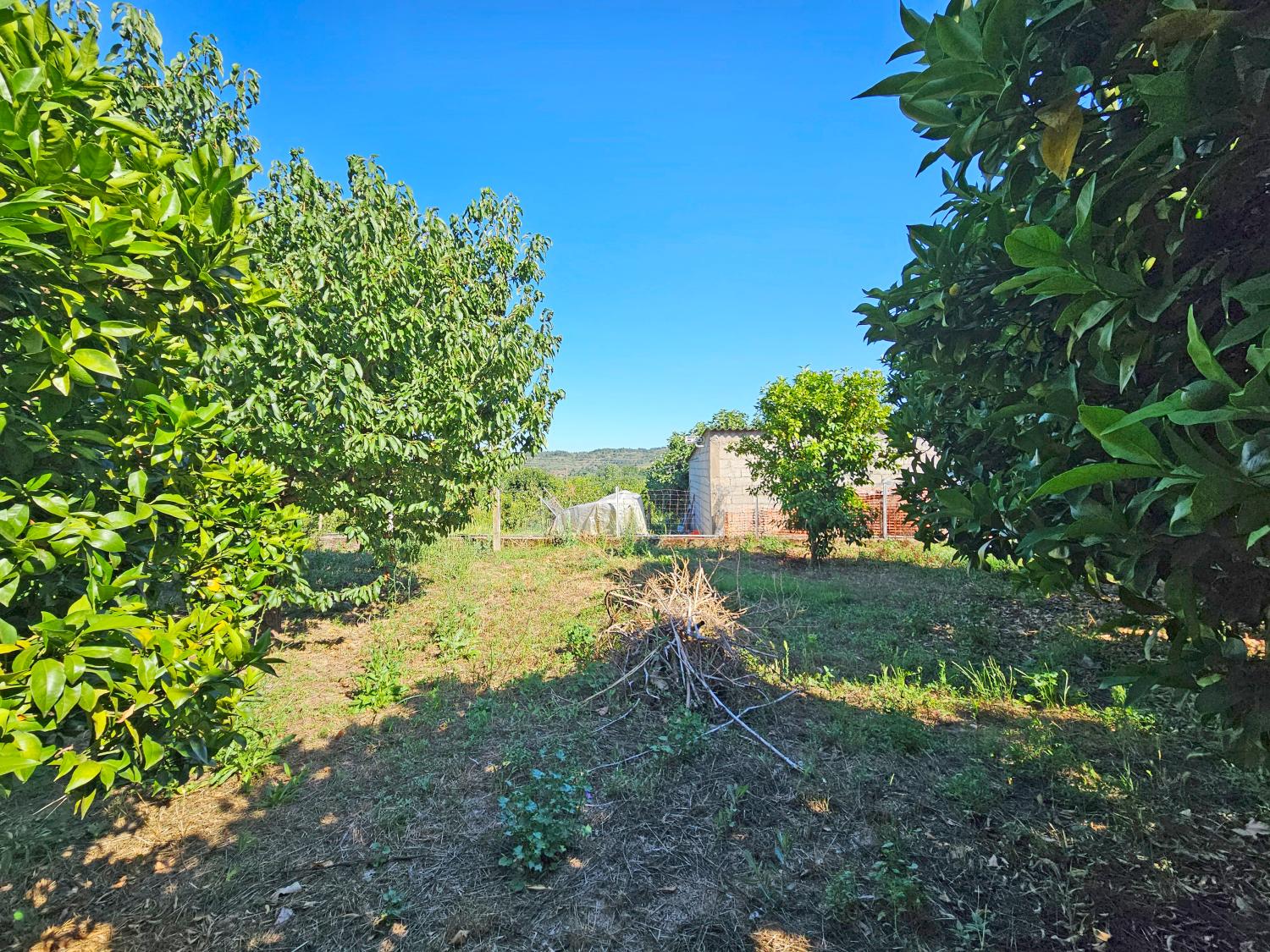 for sale house Orjais Covilhã 3