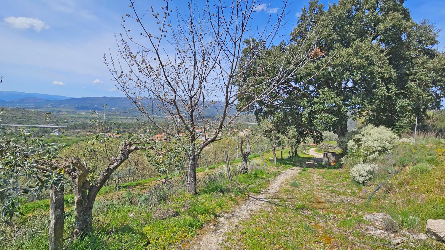  for sale house Benespera Guarda 8