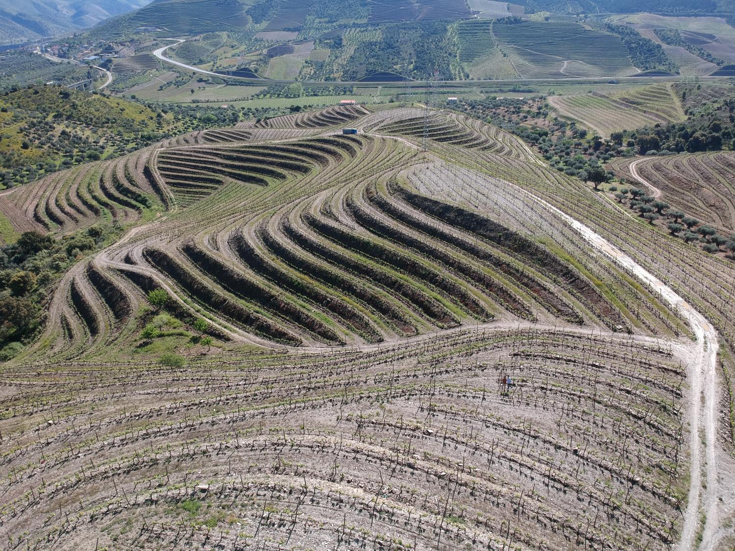  for sale vineyard Vila Nova de Foz Côa Vila Nova De Foz Côa 12