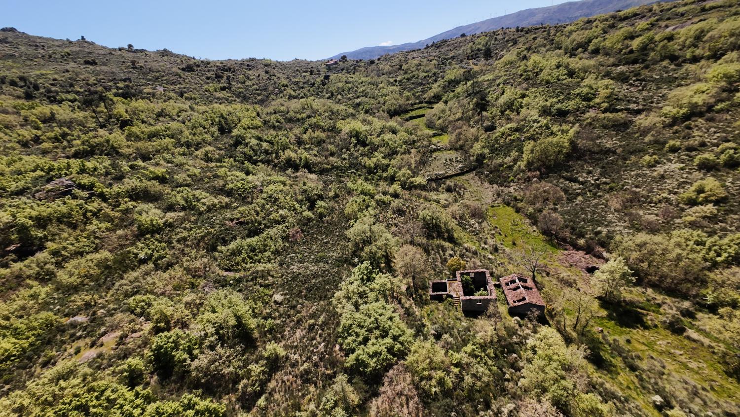 for sale farm Lajeosa do Mondego Celorico Da Beira 3