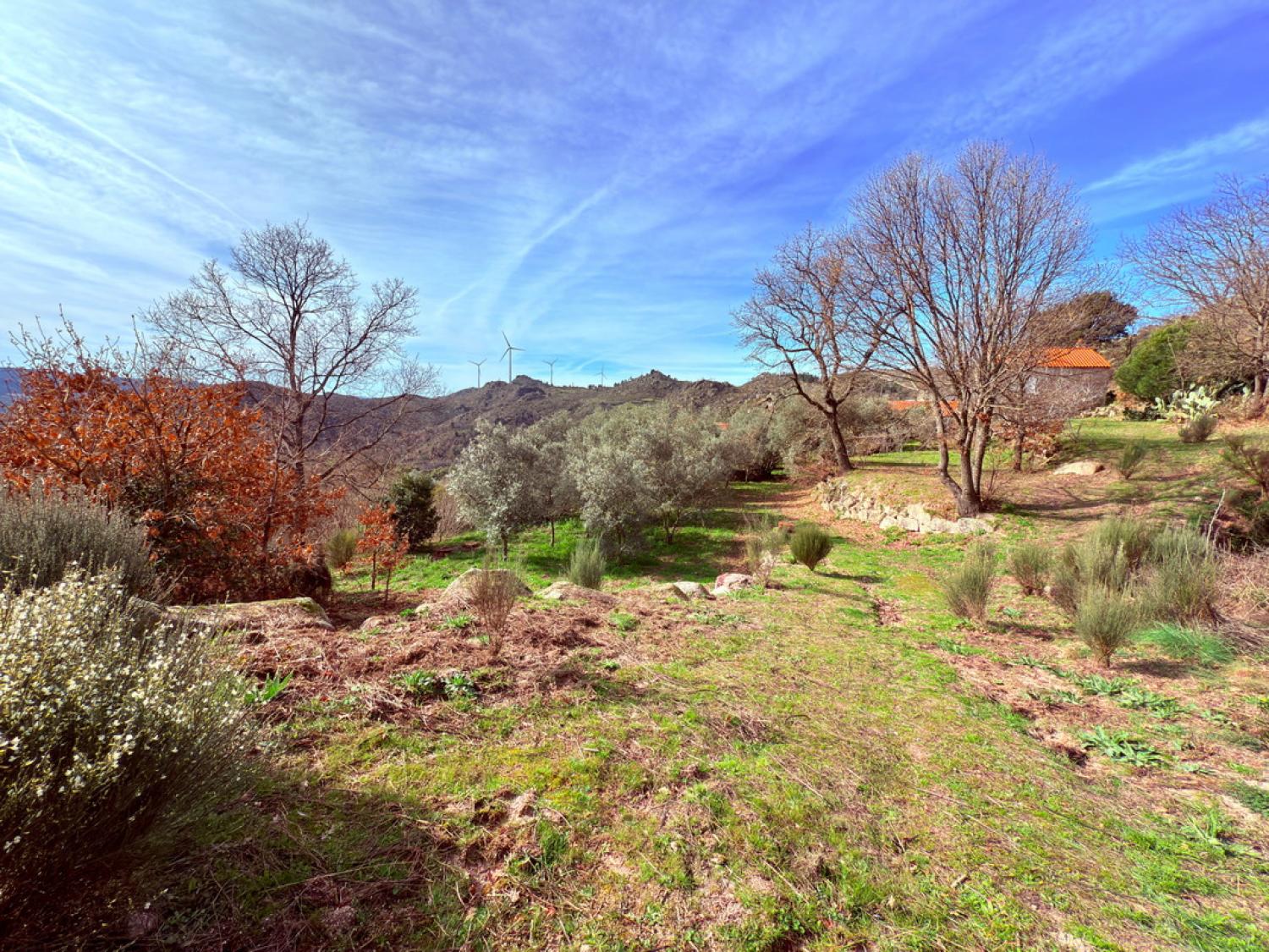  for sale farm Pousafoles do Bispo Sabugal 37