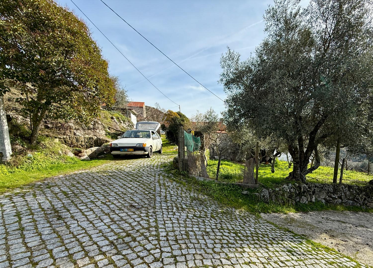  for sale farm Pousafoles do Bispo Sabugal 13