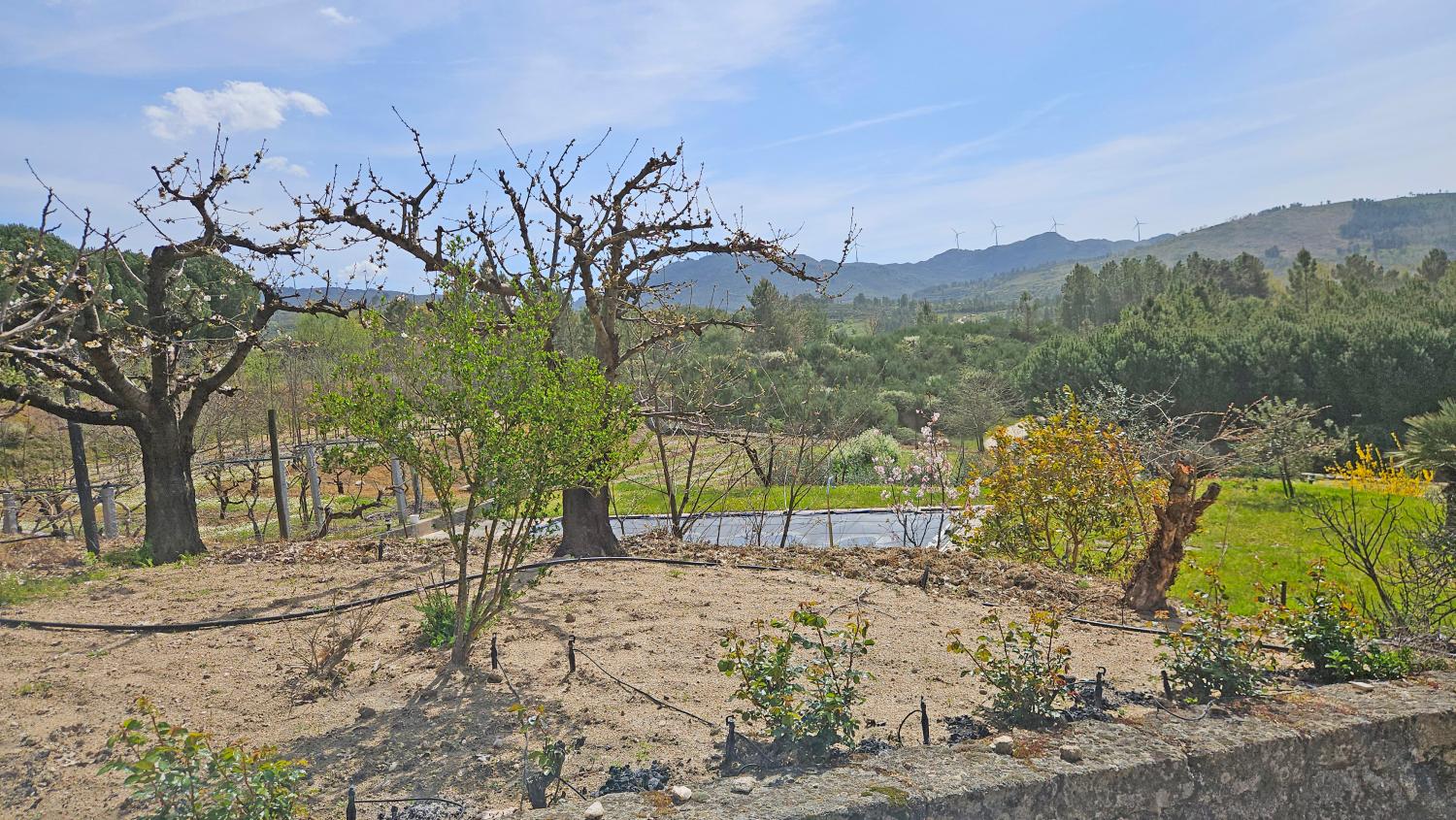  for sale farm Vela Guarda 7