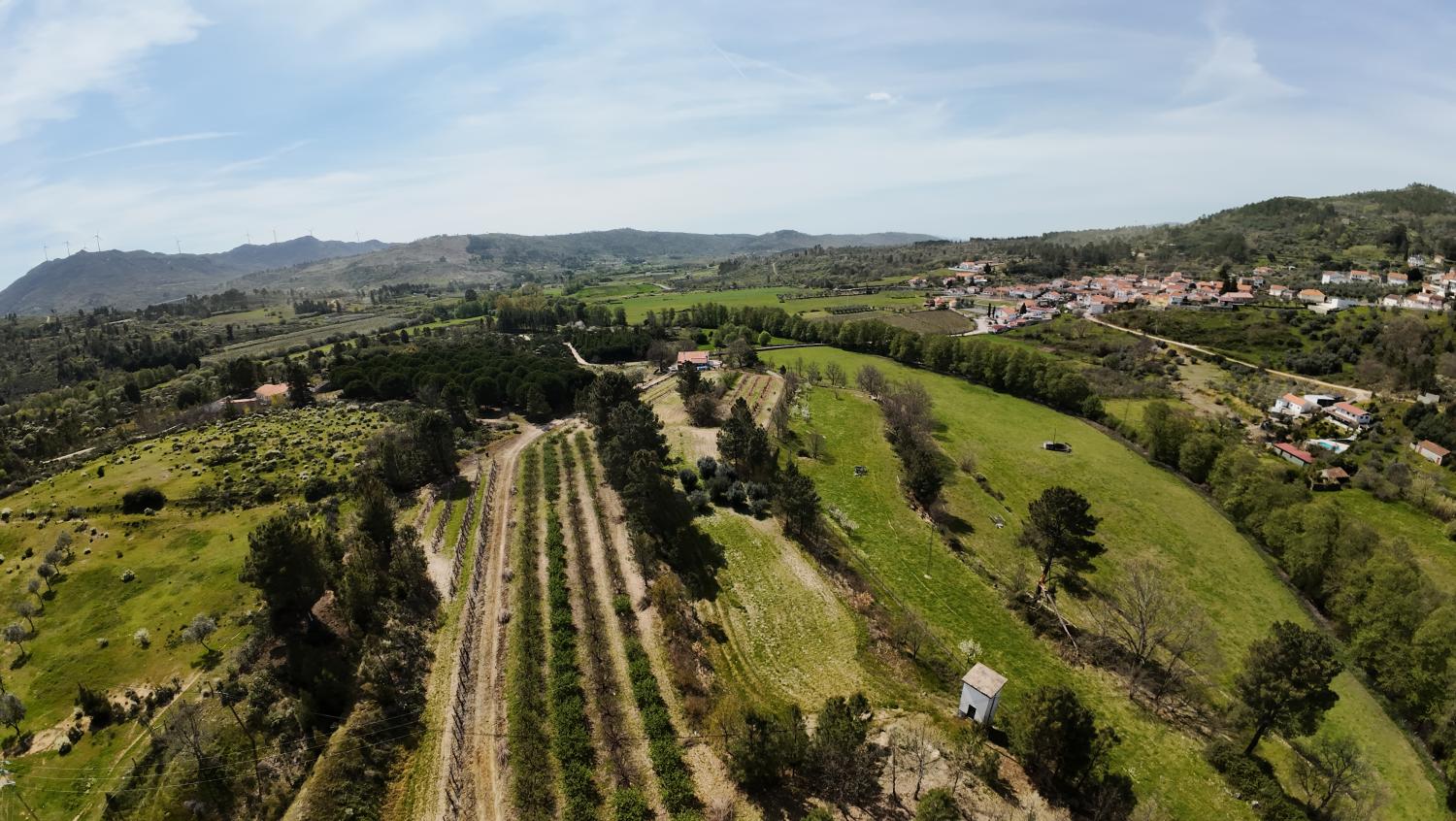  for sale farm Vela Guarda 12