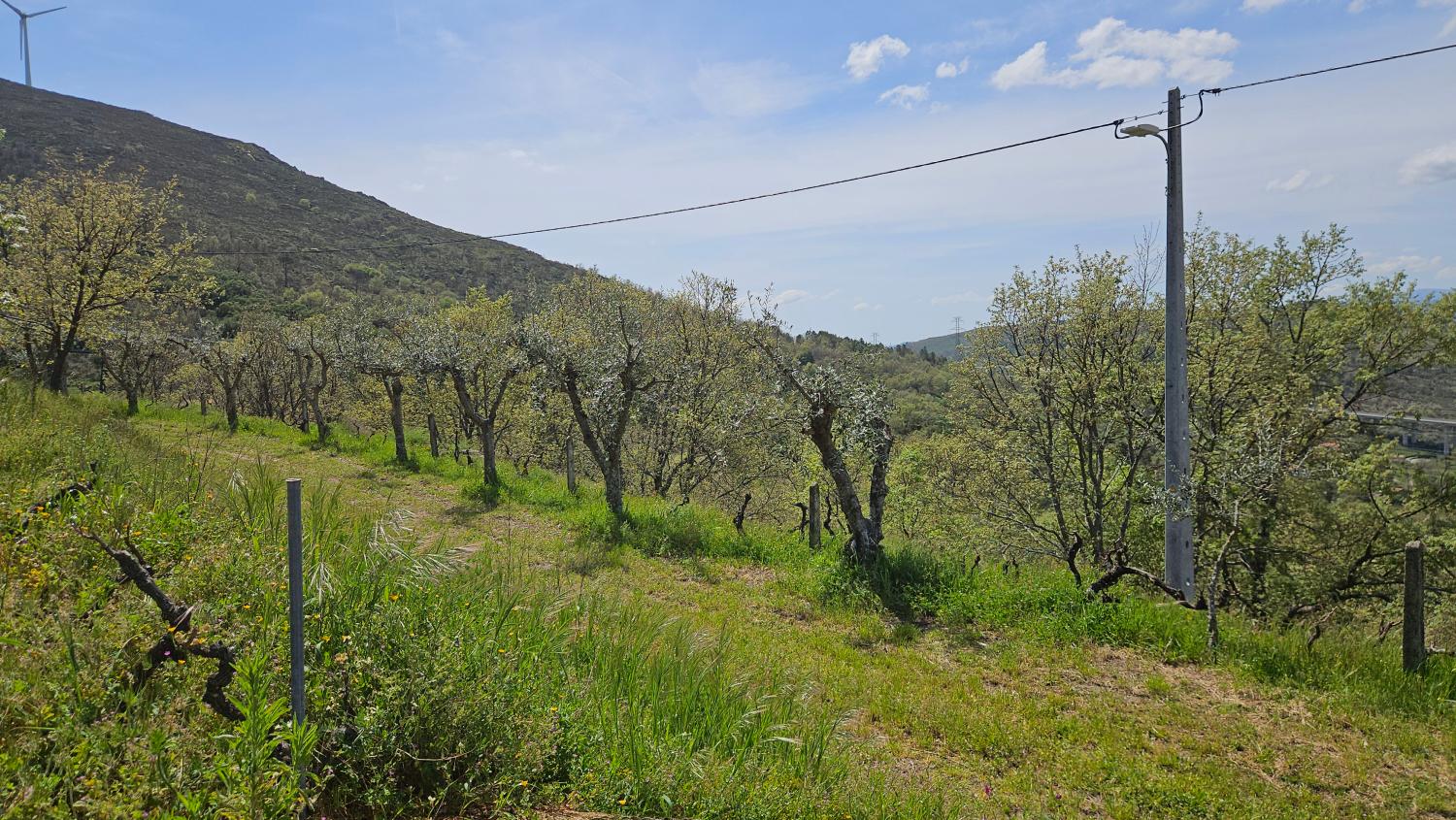  for sale house Benespera Guarda 5