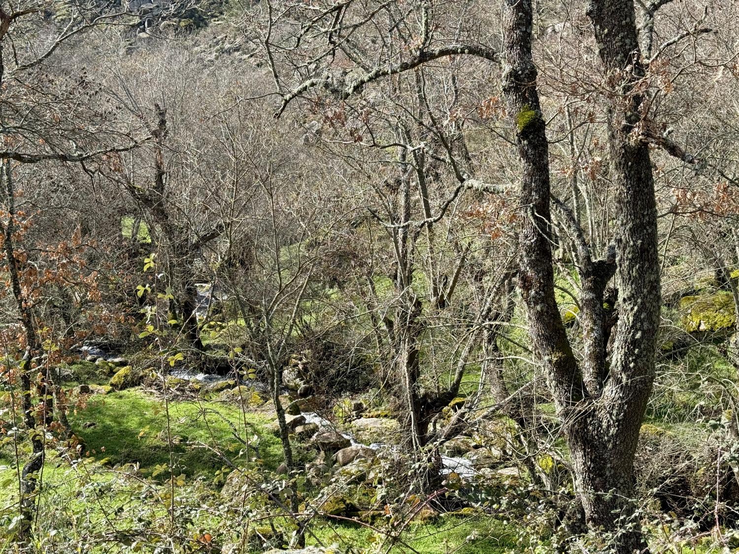  for sale farm Pousafoles do Bispo Sabugal 30