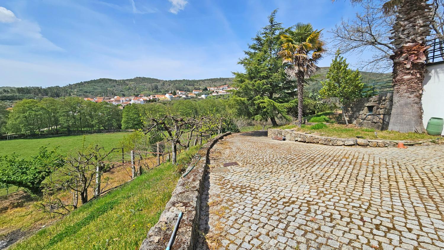  for sale farm Vela Guarda 9