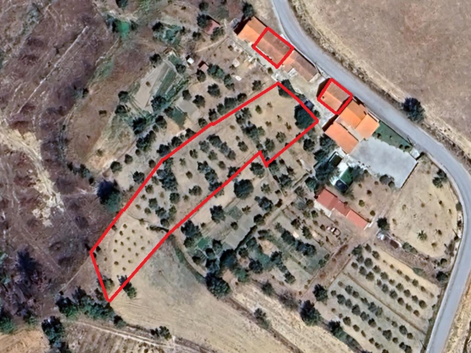  for sale house Gonçalo Guarda 14