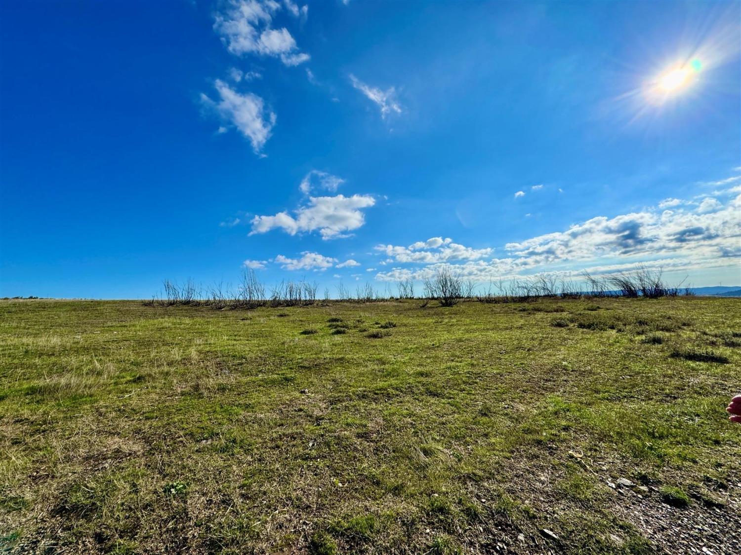  for sale farm Videmonte Guarda 6