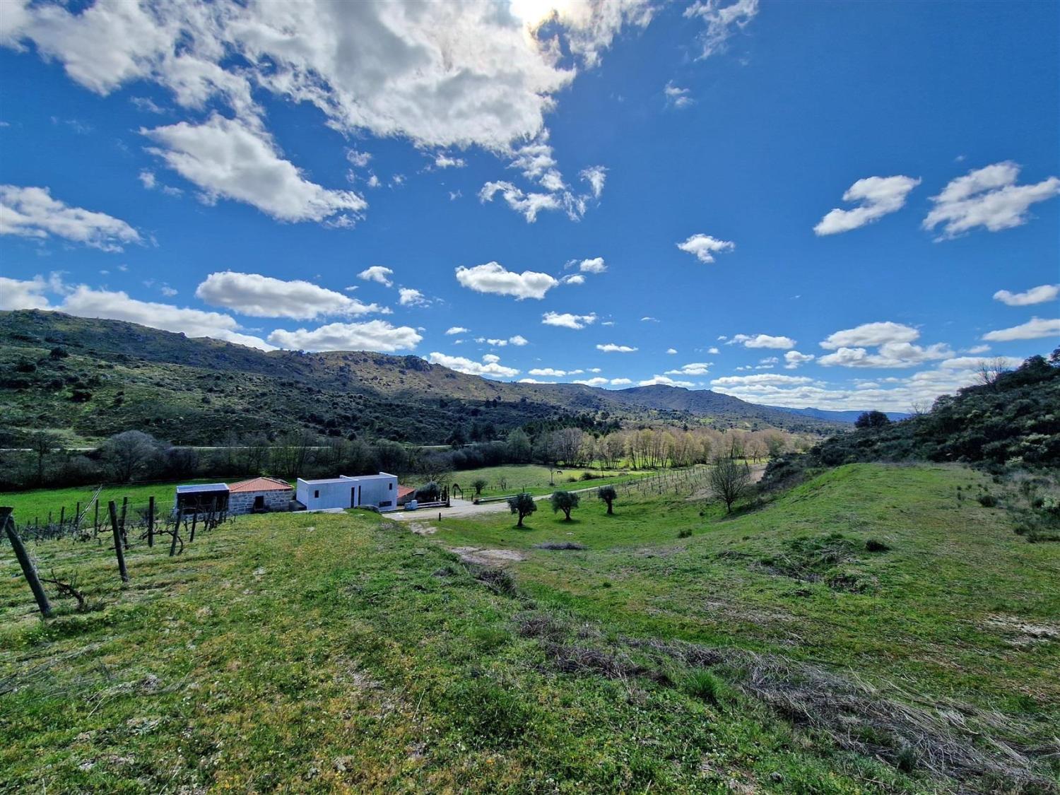  for sale estate Celorico da Beira Celorico Da Beira 18