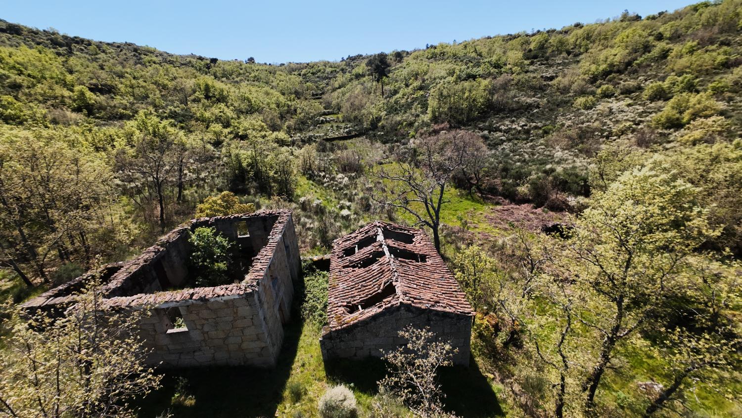for sale farm Lajeosa do Mondego Celorico Da Beira 2