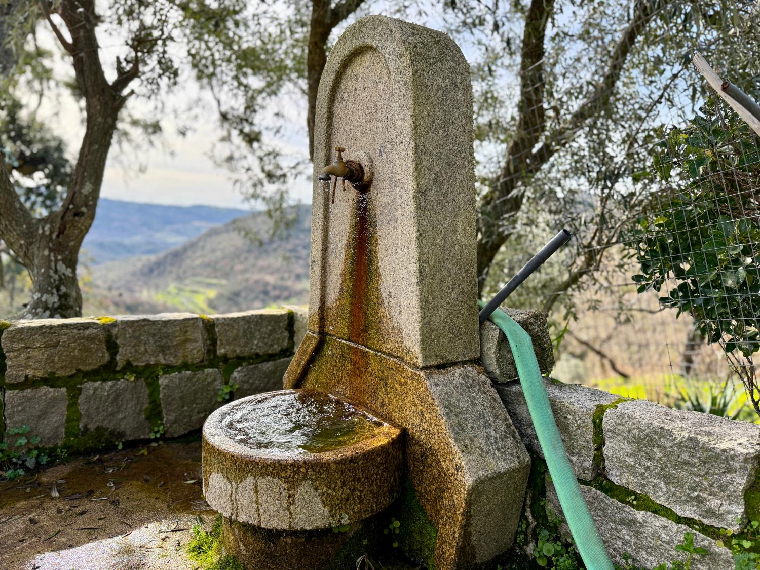  for sale farm Pousafoles do Bispo Sabugal 14